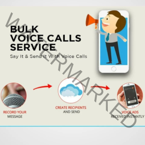 Bulk Voice Call