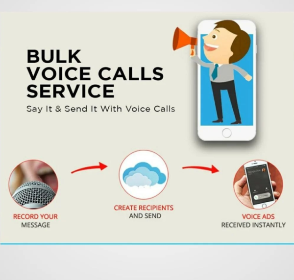 Bulk Voice Call