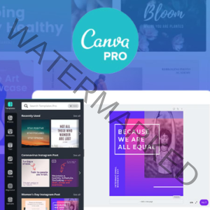 Canva Original And Educational Pro Accounts Available