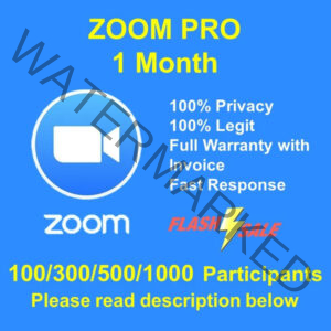 Zoom Pro Original Subscription